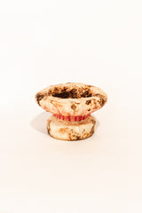 SMALL MYCELIUM SCULTURE