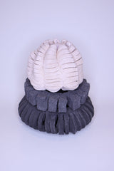 Sponge stacked sculpture Margarida Lopes Pereira