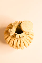 Sponge Sculpture with Lid