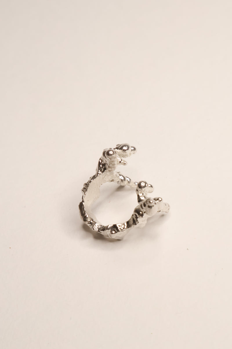 Small silver ring