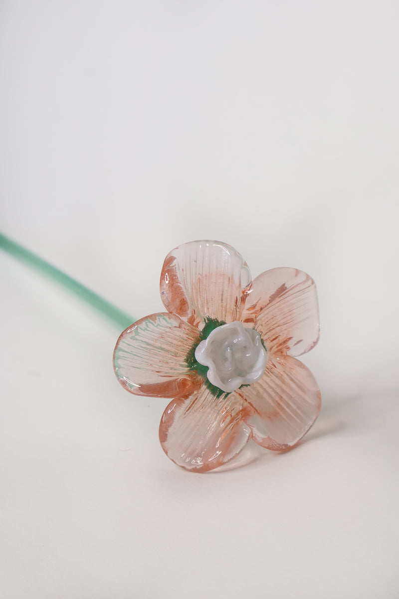 Glass Blown Flowers